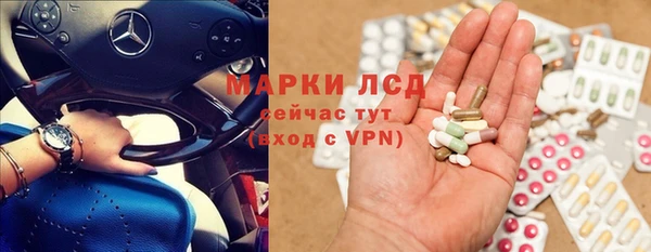 герыч Тайга