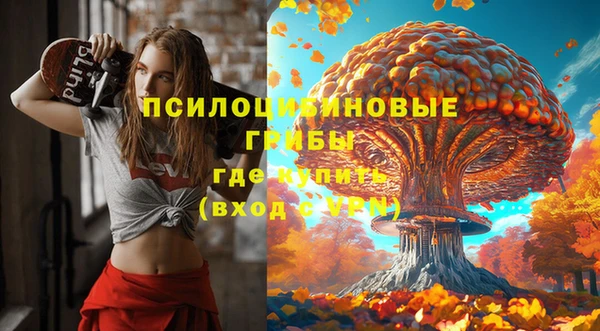 таблы Сясьстрой