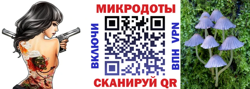 Галлюциногенные грибы Cubensis  Нижний Тагил 
