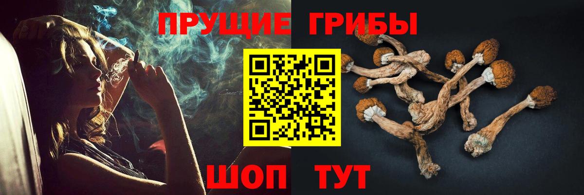 Галлюциногенные грибы Magic Shrooms Нижний Тагил